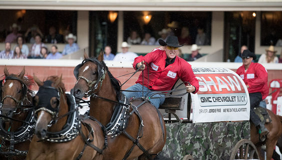 © Calgary Stampede