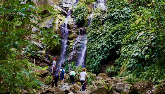  &copy; Tobago Tourism Agency