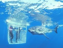  © South African Tourism